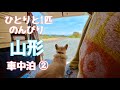 【山形車中泊②】ひとりと1匹がのんびり山形を巡る旅