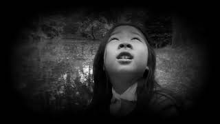 Хирошимагийн Охины Цаасан Шувуу 佐々木禎子さん Tsaasan Shuvuu