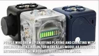 Moss Build Robots Review [WATCH FIRST]