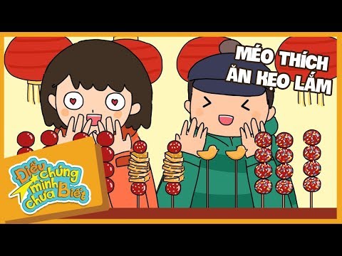 Méo Thích Ăn Kẹo Lắm | Điều Chúng Mình Chưa Biết