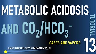 Acid Base 3  Metabolic Acidosis, Respiratory Compensation, Anion Gap, Base Excess