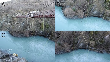 Bungy Jump Physics | The Greatest Acceleration