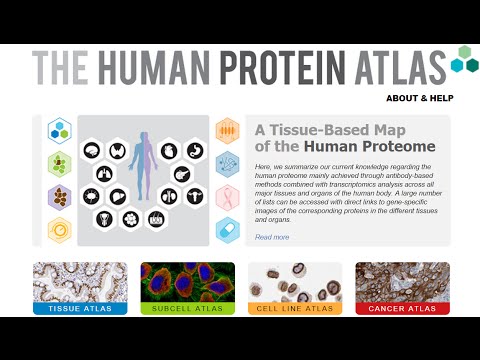 Citizen Science in EVE Online: Players help to map Human Protein Atlas