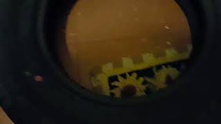 Solar Tires Review