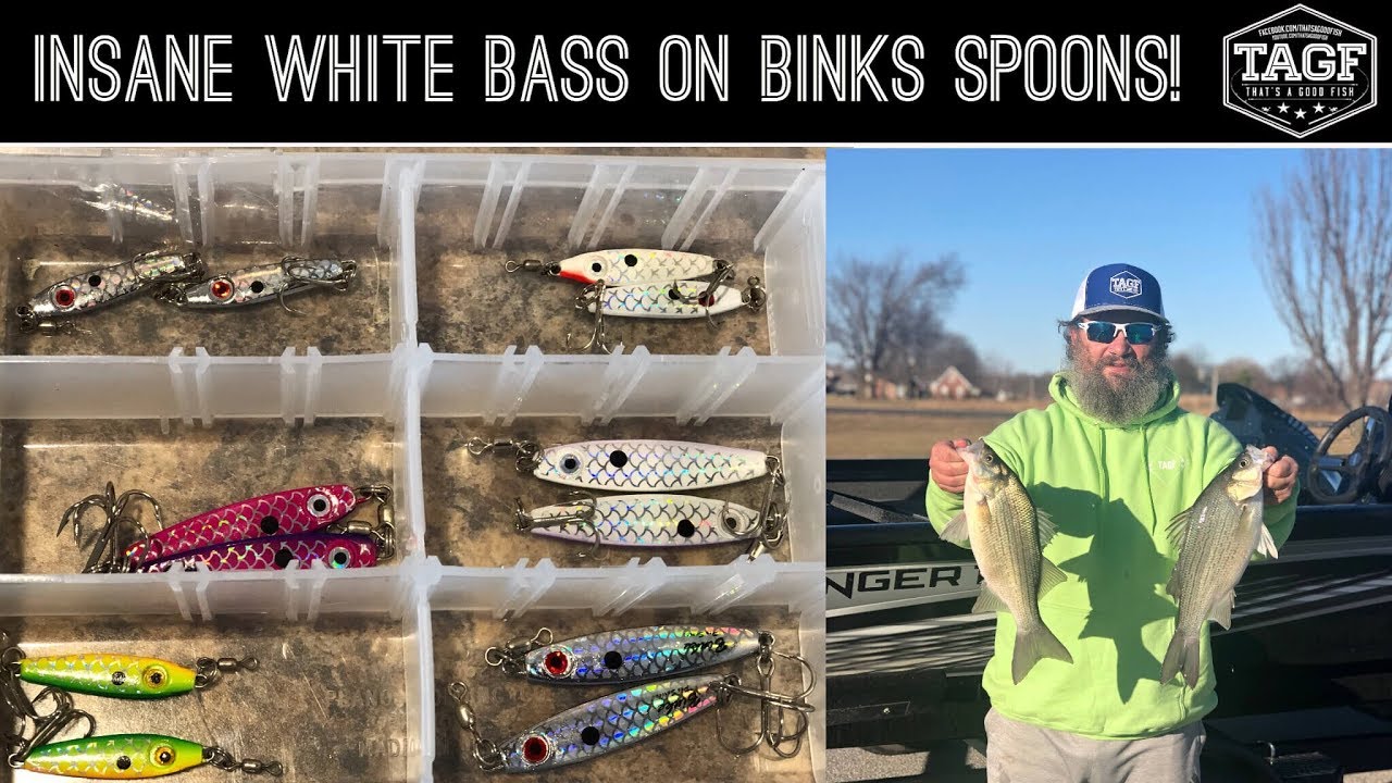 Catch BIG SCHOOLS of Winter White Bass on Spoons! (Light Tackle)