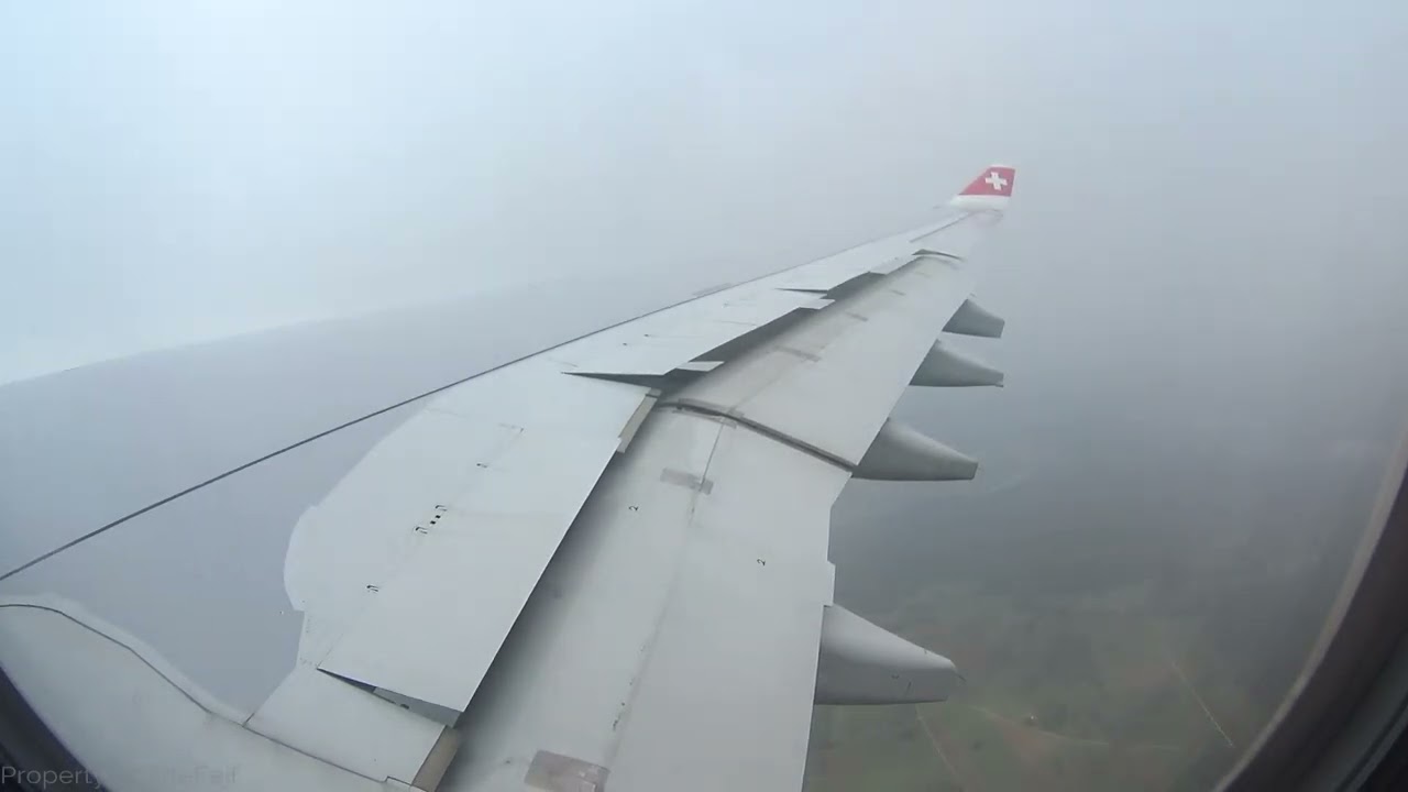 [FLIGHT LANDING] Swiss A330-300 - Short-haul Widebody Flight from Geneva to Zurich