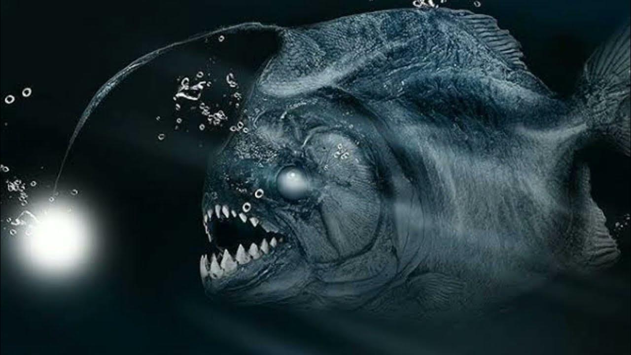 Desolate deep fish. Тауматихт. pacific football fish. abyssal fish.