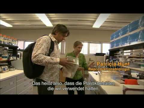 Plastic Planet Interview Patricia Hunt