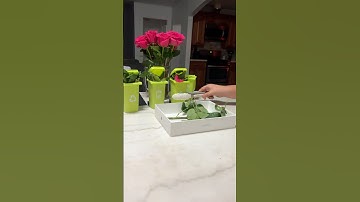 Trash day with Toy Trash Cans #gogarbage #trash