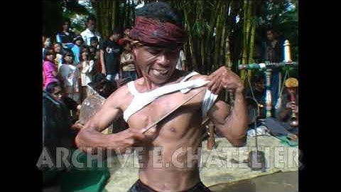 Cimande Macan Guling Serang Debus Golok