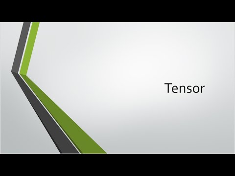 What is Tensor?