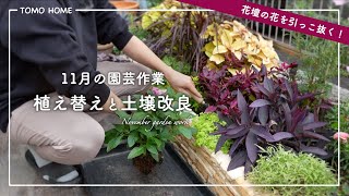 Gardening work in November] Tidying up flower beds and improving