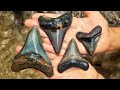 We Found CRAZY Megalodon Shark Teeth in a Florida Creek While Fossil Hunting!