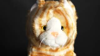 Tabby Cat Headcover | Daphne's Headcovers
