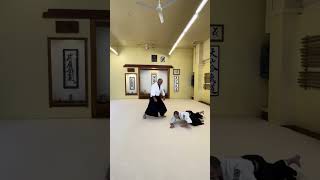 Bruce Bookman Shihan Shows Henka Waza Variations