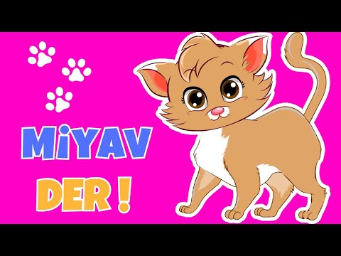 🐱Kedicim Miyav Miyav Der - Kedicim Benden Ne İster | Eğlenceli Çocuk ve Bebek Şarkıları | Çizgi Film