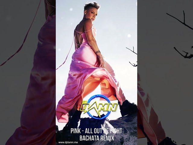 Pink - All Out Of Fight (By DJ Damn Bachata Remix) class=