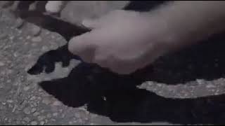 Cara mengatasi dompet yang sekarat