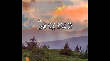 سورة الضحى 🎙️ ملا بكر