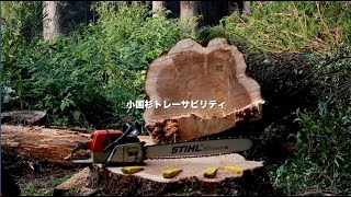 小国杉トレーサビリティ