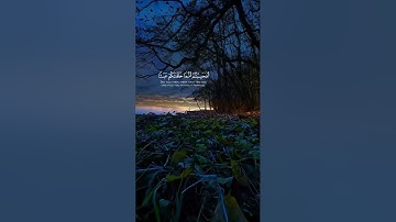 #ياسر_الدوسري 🥺 #تلاوة_خاشعة #اللهم_صل_وسلم_على_نبينا_محمد #القرآن_الكريم #islam #quran #allah