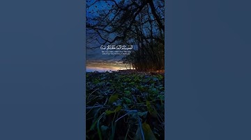 #ياسر_الدوسري 🥺 #تلاوة_خاشعة #اللهم_صل_وسلم_على_نبينا_محمد #القرآن_الكريم #islam #quran #allah
