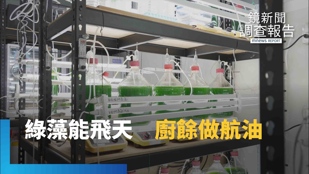 微小生命驅動航班!直擊全台最大微藻基地取油密碼 別倒掉!烤鴨油與剩菜變航油 揭開SAF空中商戰|綠能革命|鏡新聞調查報告|#鏡新聞