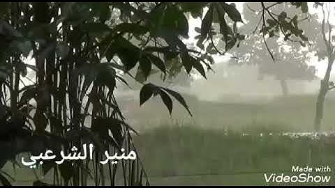منير عبدالله آيات من سوره غافر