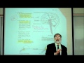 REVIEW OF THE FUNCTIONAL AREAS OF THE BRAIN Part 1 by Professor Fink