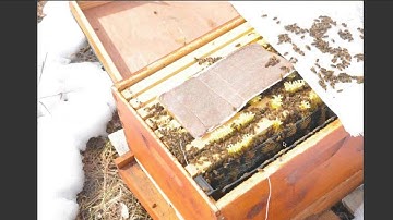Over Wintering Nucs with Larry Connor