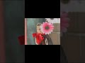 「ベガとアルタイル -once a year-」配信開始!