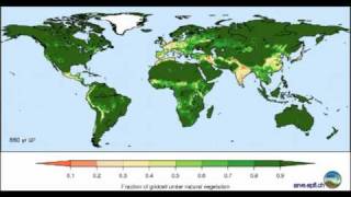 Uso del suolo da parte dell'uomo negli ultimi 8000 anni