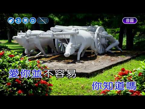 一路上有你~張學友~男D調~伴奏導唱