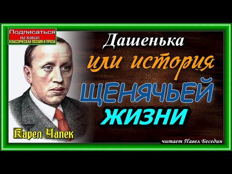 Дашенька, или история щенячьей жизни Карел Чапек читает Павел Беседин