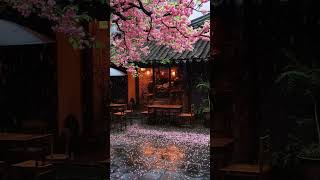 Light Rain Falling Sounds Peaceful Atmosphere for Sleep #relaxation #rain #rainoundforsleep