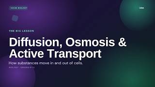 Diffusion, Osmosis & Active Transport | IGCSE Biology Explained (Worked Example)