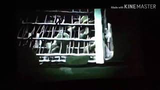 TMNT 2012 (Alone Rat and Cubs) The Story of the Turtles (Part48)