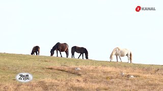 Tour de BiH: Livno, divlji konji, Buško jezero, skijalište Kupres