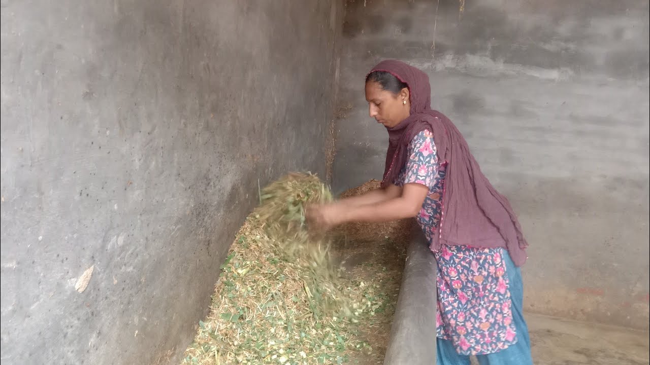 || ਐਨੀ ਮਹਿੰਗਾਈ || Punjabi woman works very hard ||middle class in life|kaur Sandhu Vlogs||