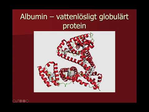 Kemi 2 - Biokemi: Proteiners struktur och egenskaper