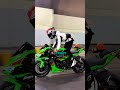 R6 or ZX 6R - What's the Difference?