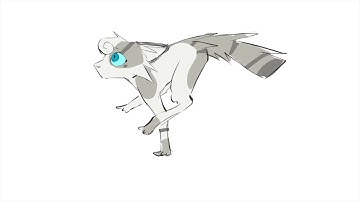 more csp animation tests