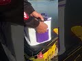 Fishing Hack! 🎣 Foldable Fish Bucket 🪄 Lift & Fold 🎯 Easy Storage ✅