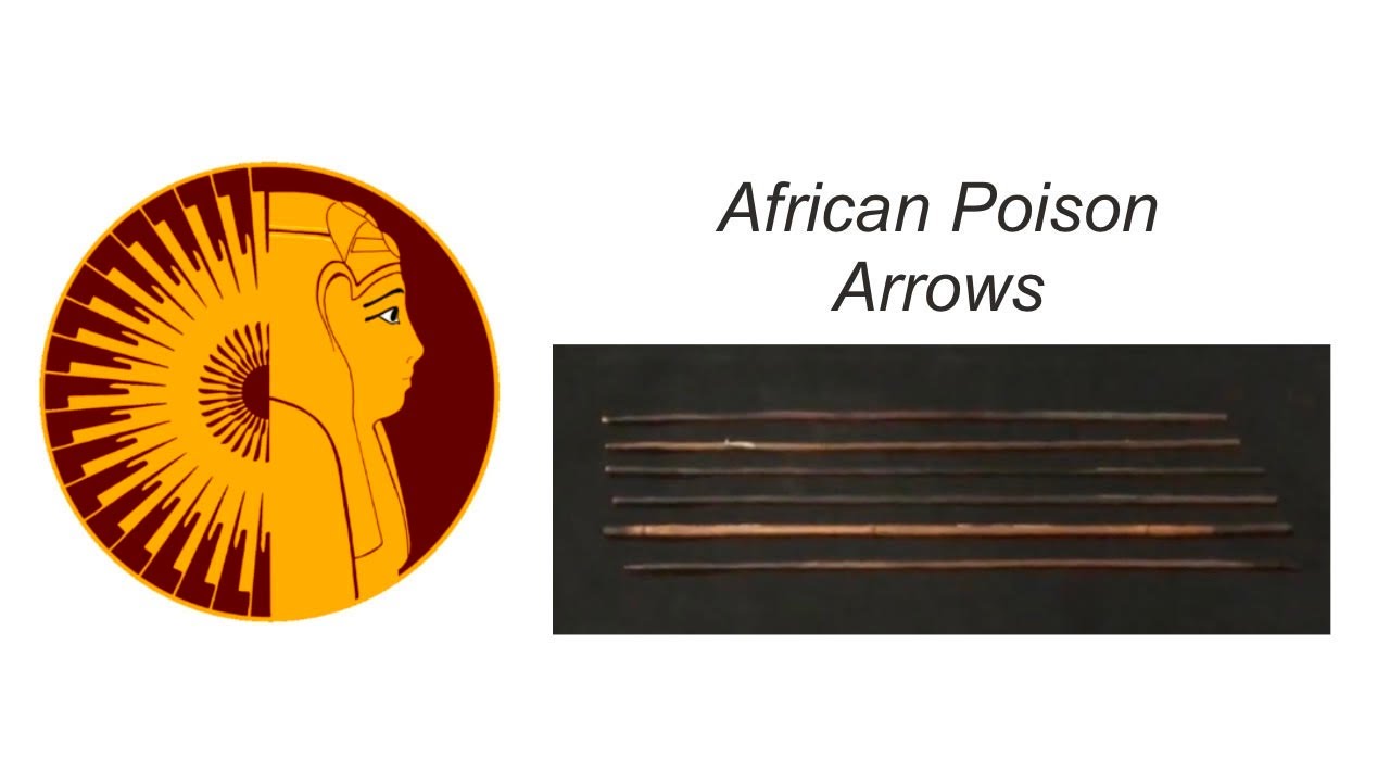 African Poison Arrows YouTube