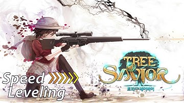 🌳Tree of Savior🌳 Level 1-300 in 🕑 5 hours 🕓 ⚡ Speed Leveling ⚡ Kaban-chan Build