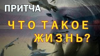 Притча Что Такое Жизнь?(, 2017-10-30T14:48:25.000Z)