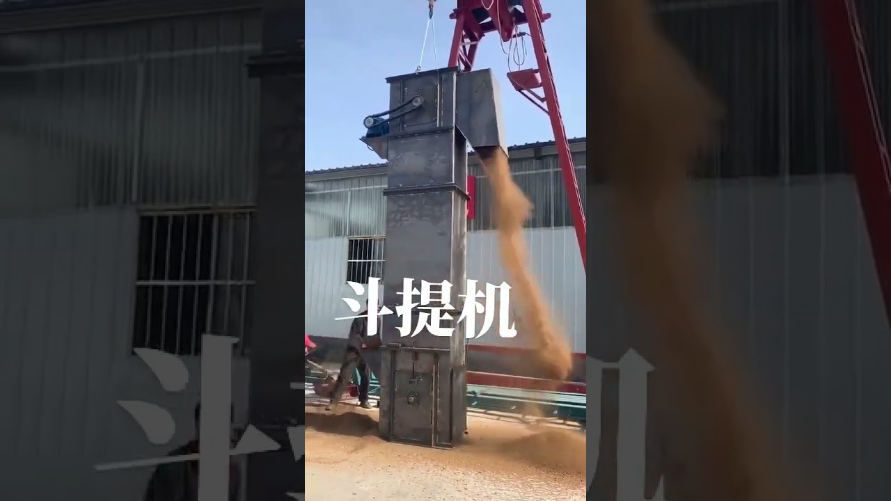 Quartz sand bucket elevator 