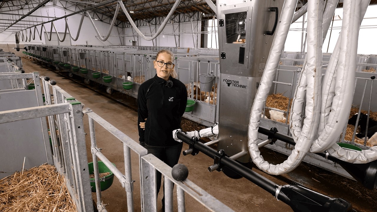 Erfolgreiche Pärchenhaltung von Kälbern am CalfRail DUO v.  Förster bei der Agrargesellschaft Prösen