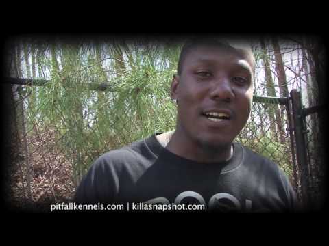 Pitfall Kennels - James + Big Boi | Campbell aka S...