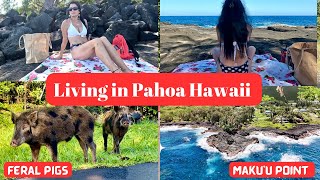 Life in Pahoa Hawaii VLOG | Maku’u Point HPP | Sunrise | Feeding Birds| Aerial Drone Videos